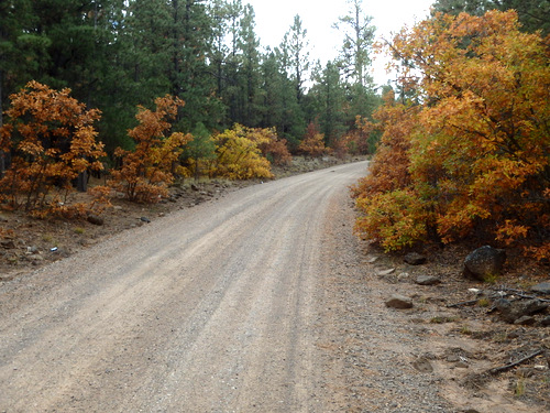 GDMBR: Felipe-Tafoya Land Grant to San Mateo Spring.